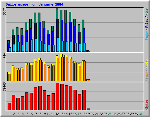 Daily usage for January 2004