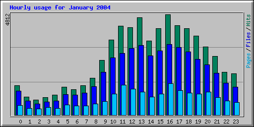 Hourly usage for January 2004